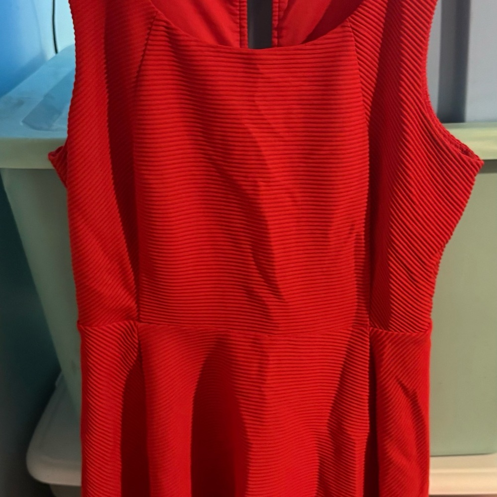 Express Vibrant Red Mini Dress